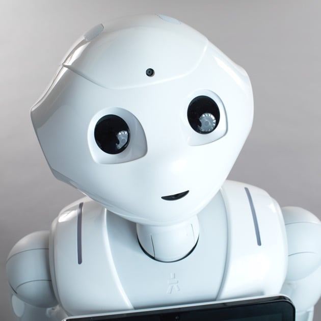 Pepper hot sale robot information