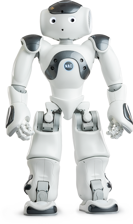 Programmable Humanoïd Robot NAO V6